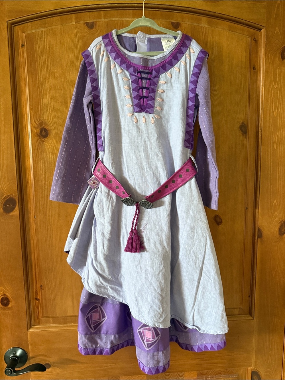 Disney Wish Purple and Lavender Princess Dress Costume